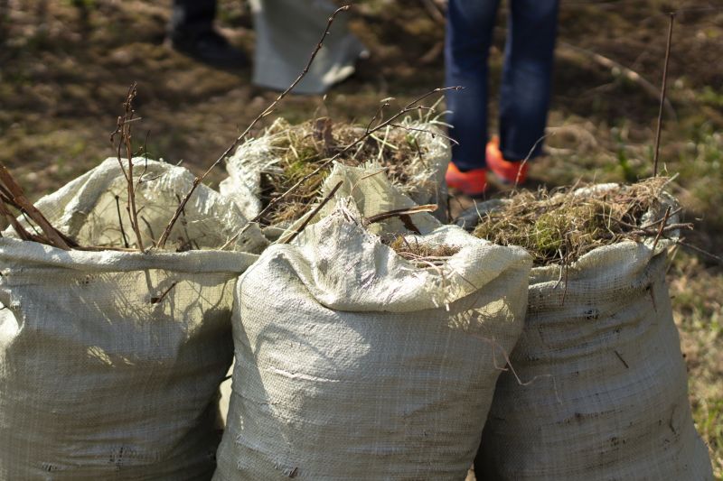 Noise Reduction Service